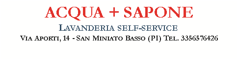 Casella di testo: ACQUA + SAPONELavanderia self-serviceVia Aporti, 14 - San Miniato Basso (PI) Tel. 3356576426