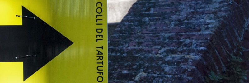 edizione 2025 annullata